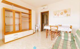 Camelia Flat - Roca